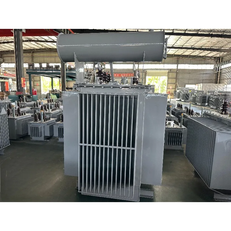 Custom S20 S21 Oil Immersed Transformer 100kVA to 1600kVA 10kV 11kV 400V Copper Aluminum Winding Options