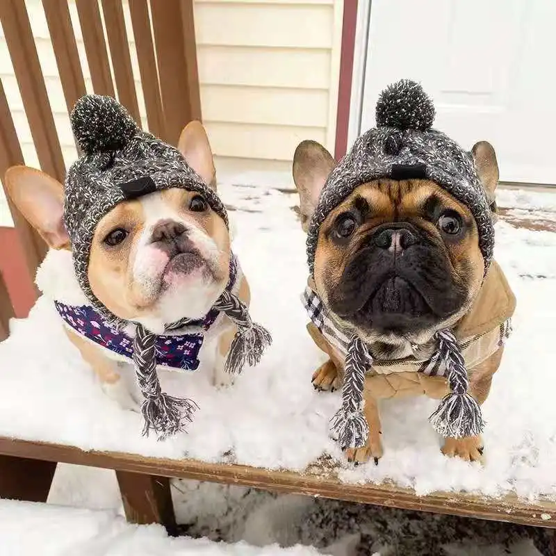 Winter Warm Dog Hats Windproof Knitting French Bulldog Chihuahua Hat Fluffy Ball Pet Hat Puppy Accessories