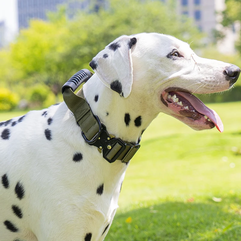 Taktisches Hundehalsband für mittelgroße und große Hunde, robuste Hundehalsbänder mit Griff, Hundetrainingshalsband mit Metallschnalle, dickes Militär – Detail 6