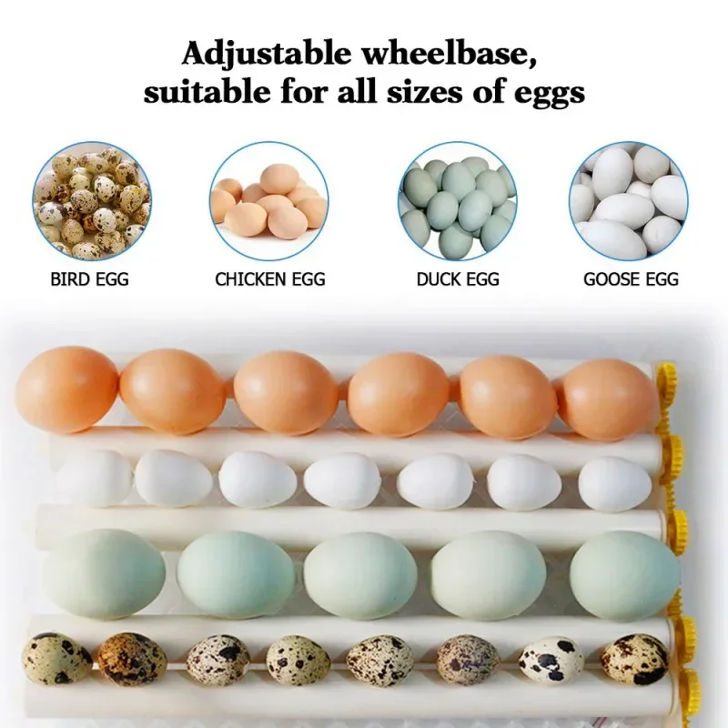 220V Eggs Incubator Brooder Bird Quail Chick Hatchery Chicken Incubator Poultry Hatcher Turner Automatic Farm Incubation Tools