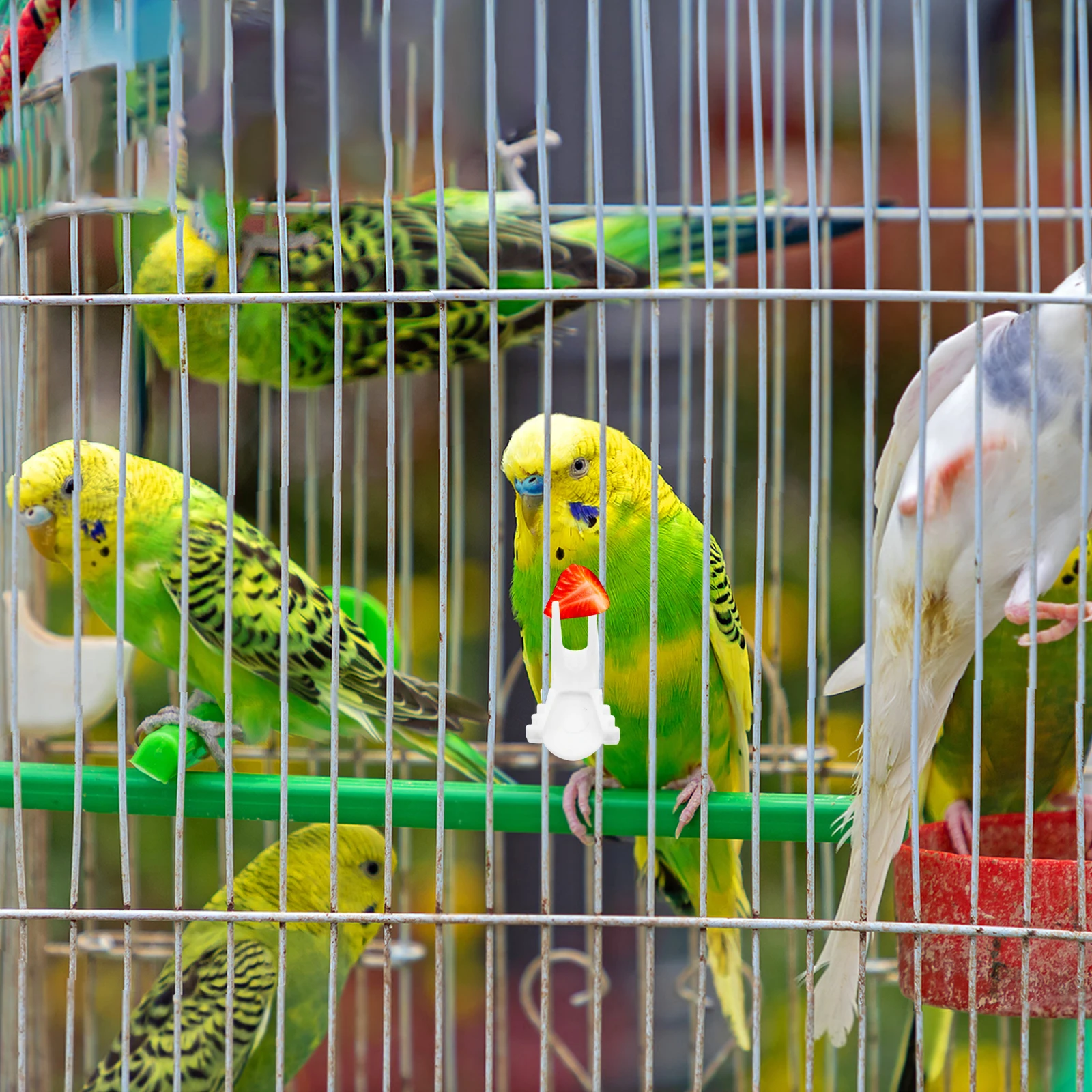 

8 Pcs Parrot Fruit Fork Feeder Bird Food Holder Snack Cage Accessory Vegetable Treat Tool Safe Compatible Birds