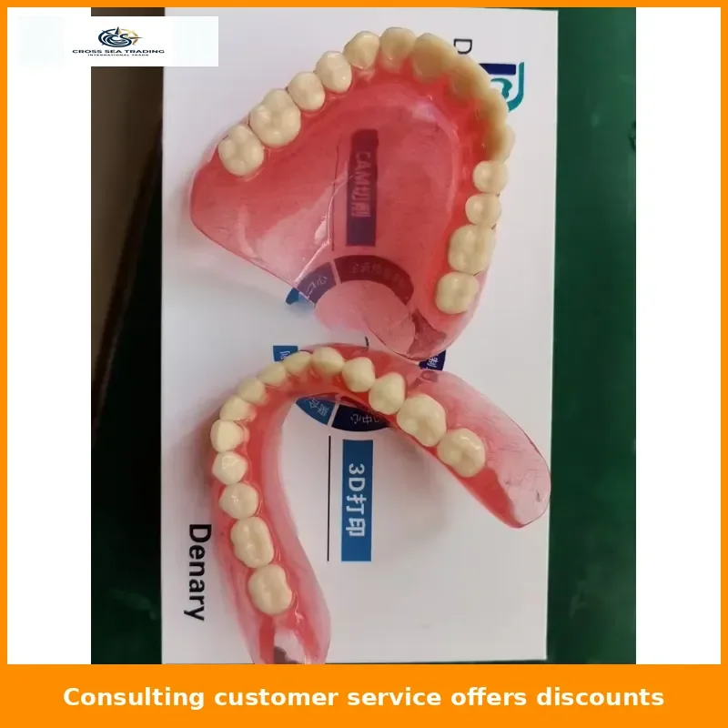 Removable Full Denture Model, Senior Complete Teeth Model for Teaching & Display