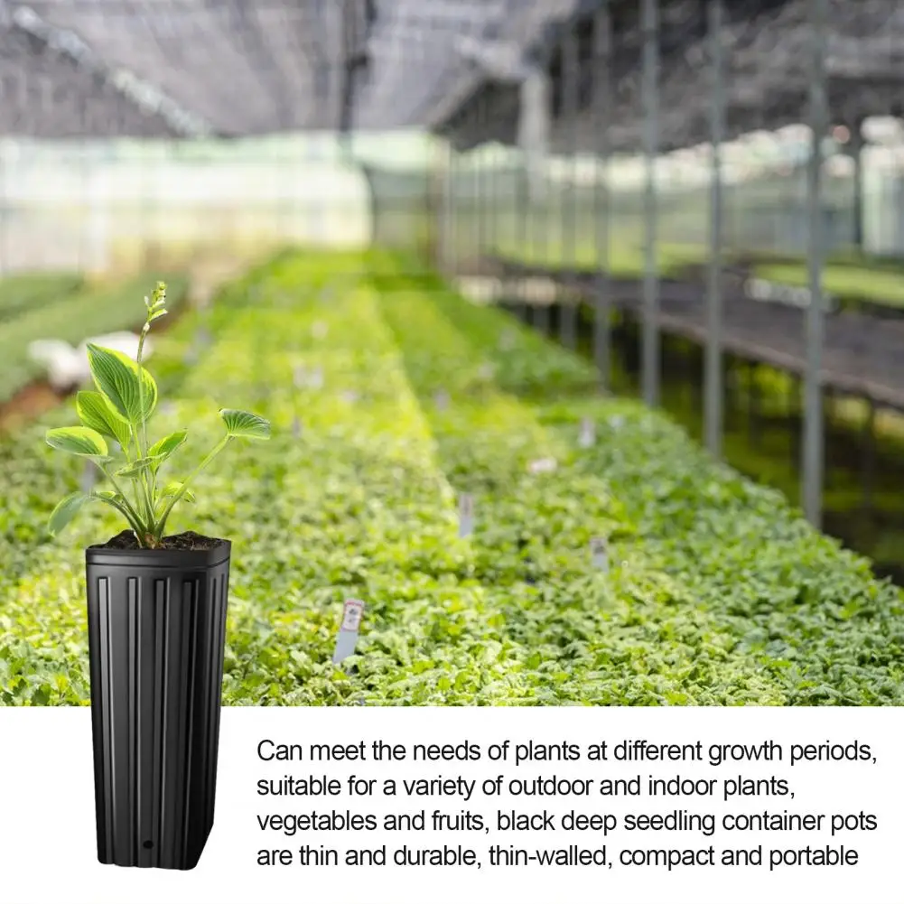 Outdoor Gardening Nursery Pot 10pcs Plant Nursery Pots with Drainage Holes for High Survival Rate Anti-cracking Flower