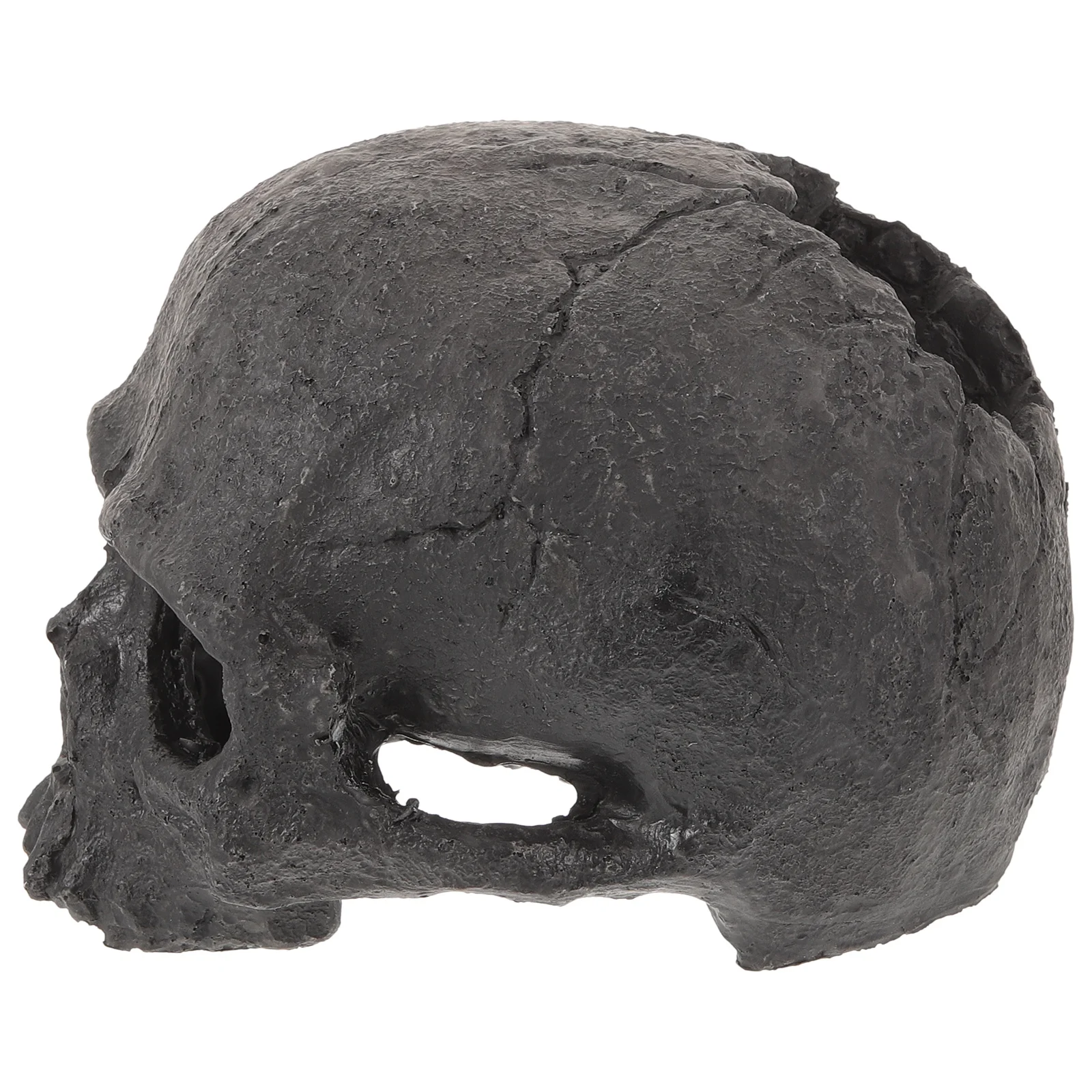 

Fish Tank Skull Cave Ornament Resin Skull Aquarium Hideout Decorative Aquarium Decoration Fake Model Fish Tank Hideout