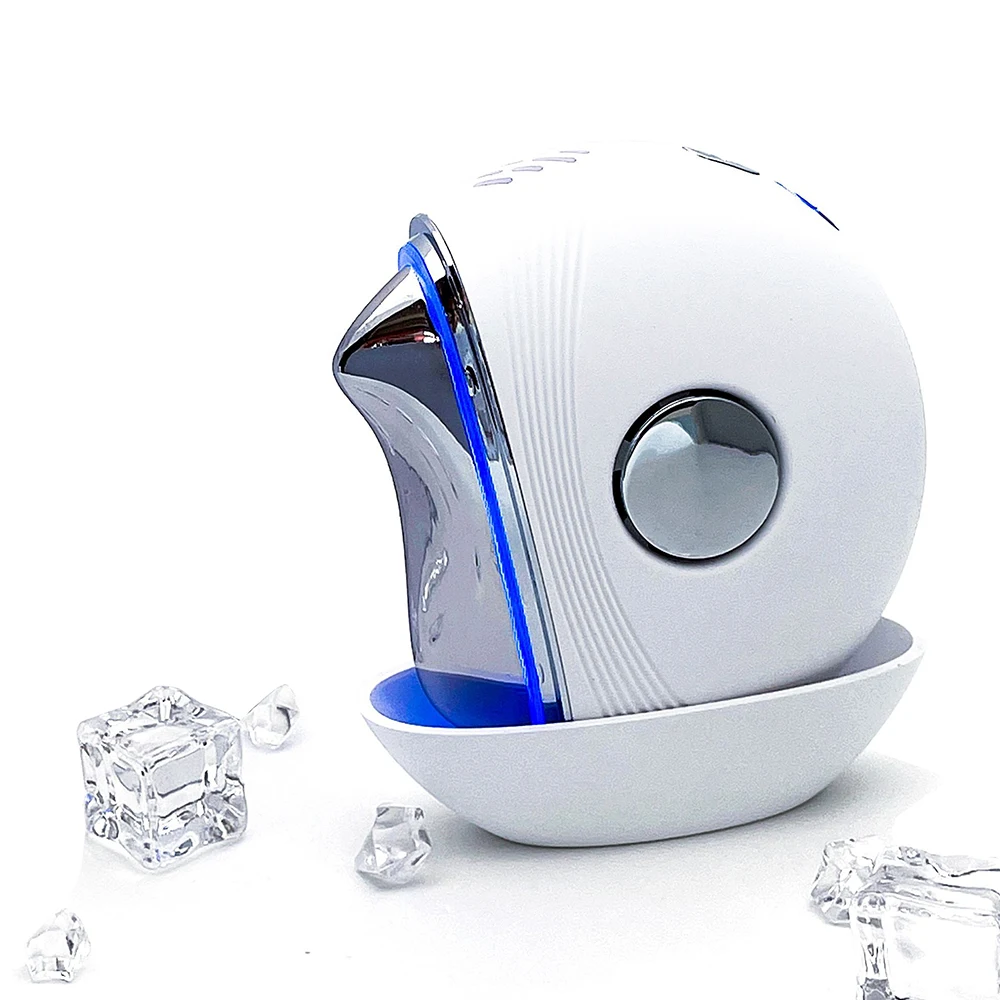 Masseur Facial EMS Gua Sha, appareil Facial à microcourant, Massage par vibrations chaudes et froides, thérapie à la lumière LED, outil de Lifting du visage