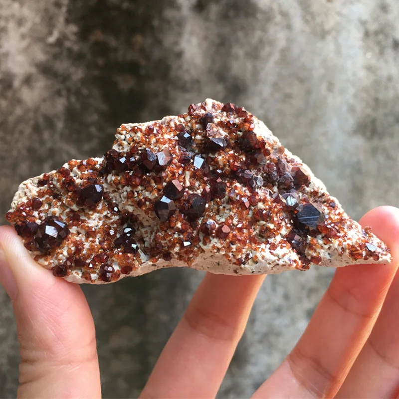 

Натуральный Кристалл Кварц Гранат Симбиоз Минеральный Образец Исцеляющий Камень Кристаллы Энергия Рейки Камень Коллекция Домашнего Декора
