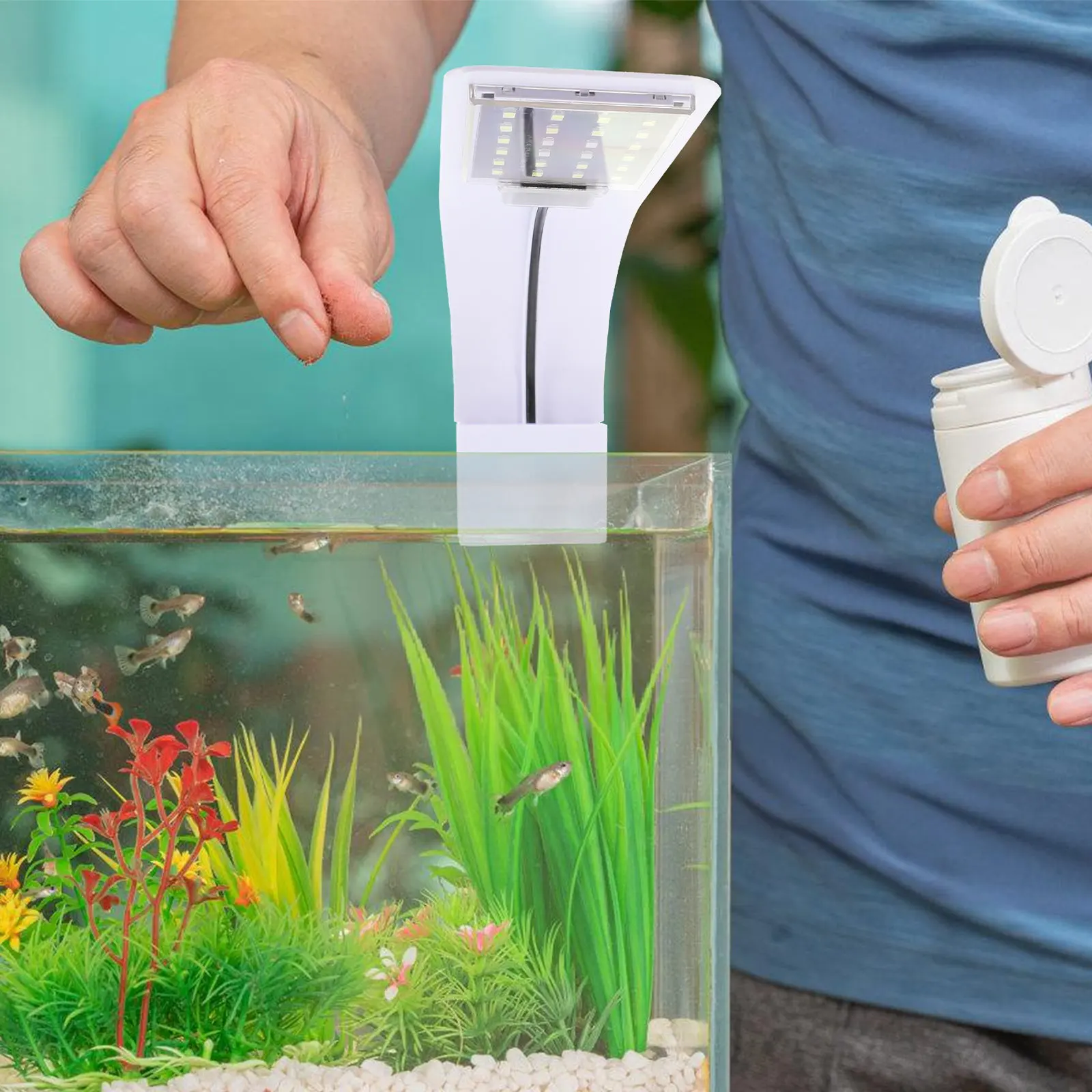 

Светодиодный светильник-клипса для аквариума: высокая яркость, мощное проникновение света, способствует фотосинтезу водных растений