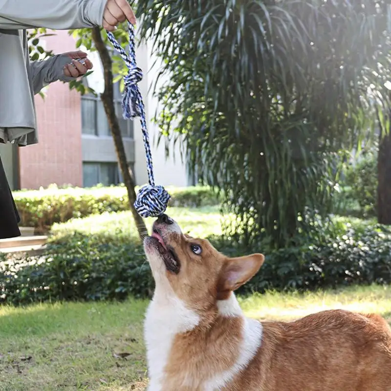 Tug Of War Dog Toy Tree Tugger Dog Toy With Ball Dog Rope Toy Interactive Dog Toys Dog Tree Tug Toy For Pulling Shaking Tugging