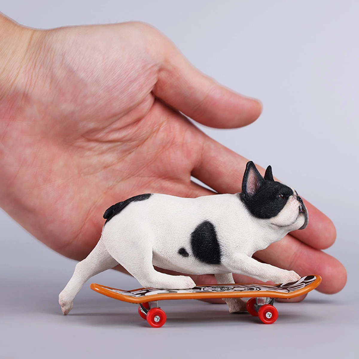 HiPlay JXK, Bulldog francese da skateboard, statuetta animale in scala 1/6 JXK243D