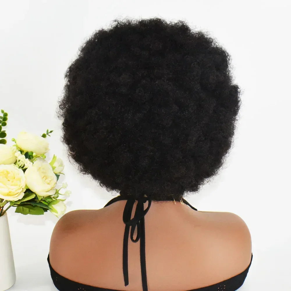 250 % Dichte, 13 x 6 Spitze, geflochtene Perücken, Afro-verworrene lockige synthetische kurze lockige Perücke für schwarze Frauen, Babyhaar, modische Perücke, täglicher Gebrauch