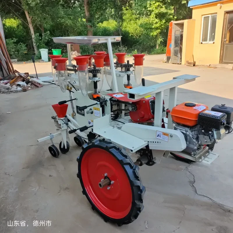 Cheap Automatic Onion Cabbage Self-Propelled Vegetables Transplanter 2 Rows Seedling Transplanting Machine