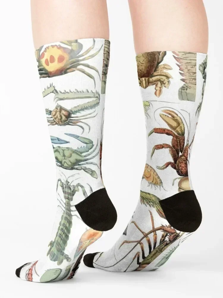 Adolphe Millot Crustaces Crustacean Lobster Crab Calcetines invierno moda Calcetines antideslizantes Mujer Hombre