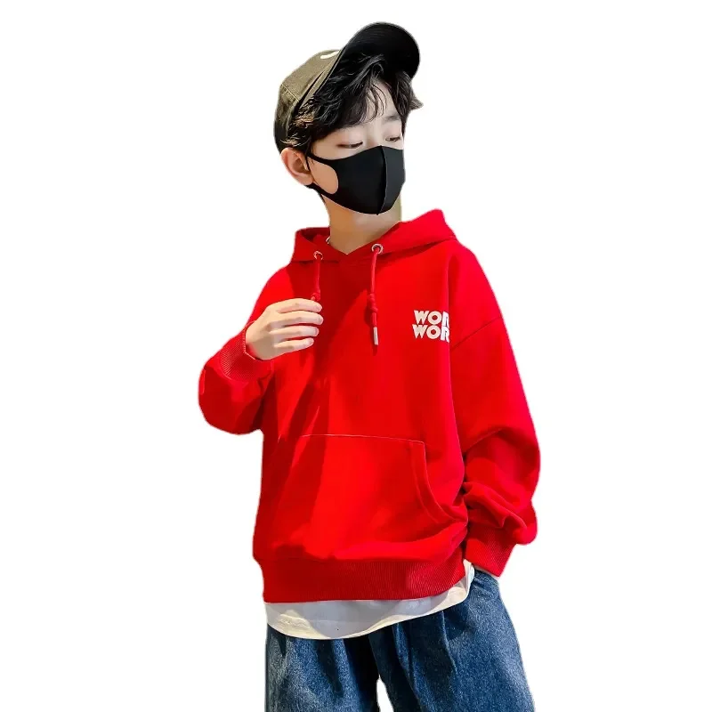 Boys Clothes Outwear Spring Autumn Fashion New Sweatshirts Teenage Clothing Letter Print Hooded Casual Tops 8 10 12 14 Yrs