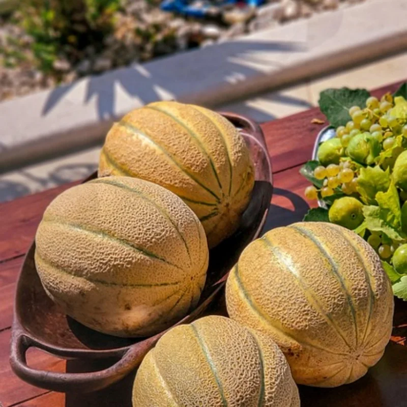 

4 шт. 1607 двигатель sin escobillas 2800KV 3850KV CW/CCW 2-4S Lipo для Dron de carreras de control remoto de largo30.ce Frees