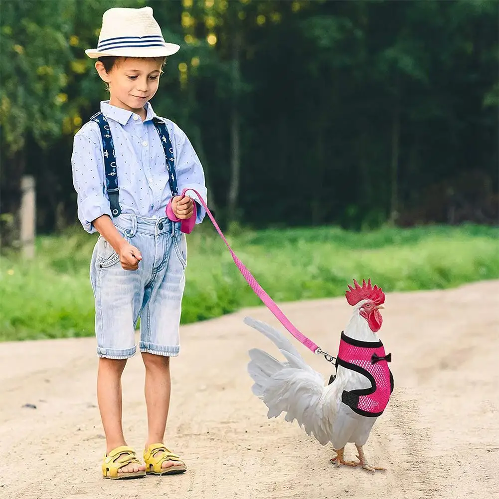 

Pet Adjustable Chicken Leash Harness Puppy Comfortable Breathable Pet Vest for Small Dogs Duck Goose Training Accessories