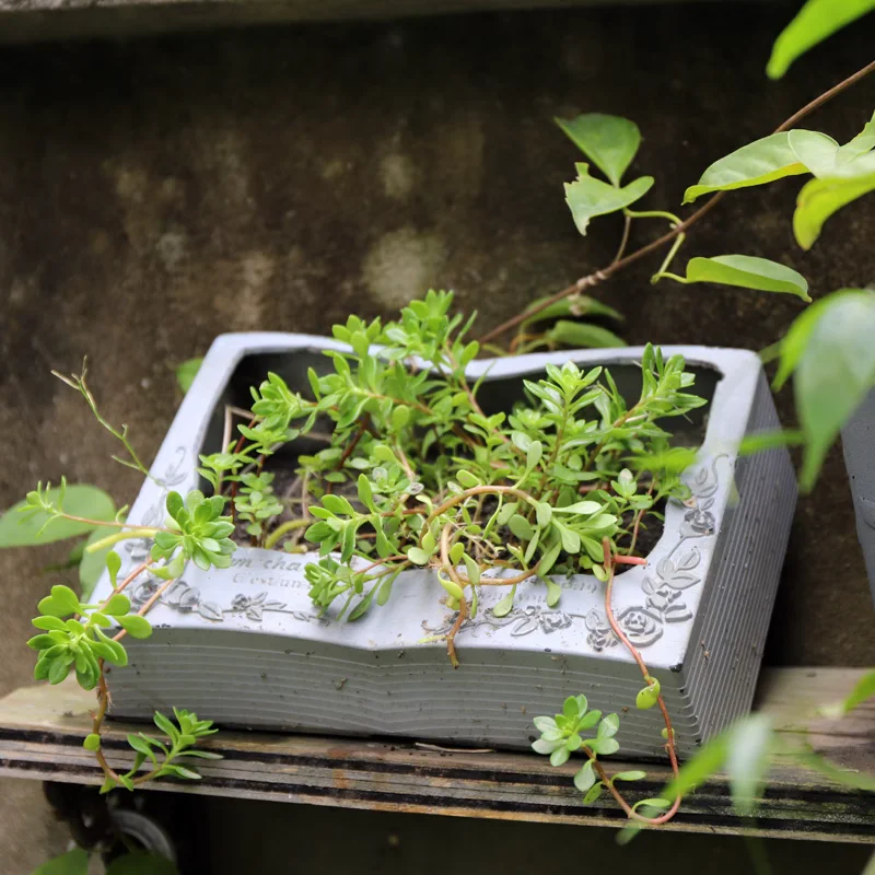 

Antique Tales Vintage-Style Open Book Resin Planter