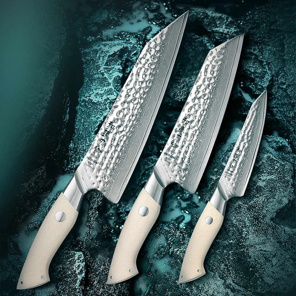 

HEZHEN 1PC or 3PC Kitchen Knife Set 67 Layers Composite Damascus Steel Beautiful Gift Box Chef Utility Knives G10 Handle