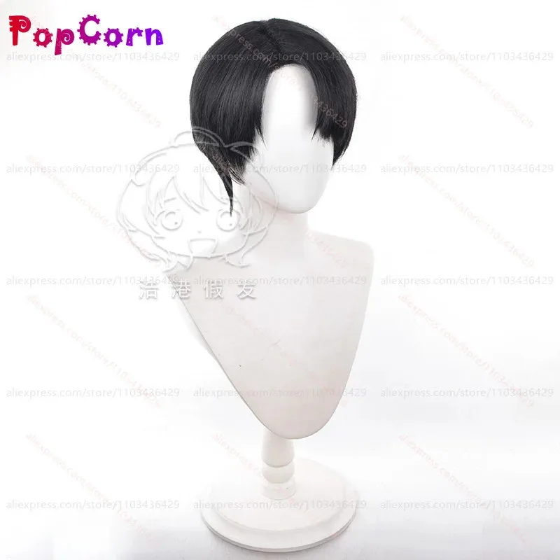 qq28LQLevi Ackerman Unisex 30cm Short Hair Black Wig Anime Cosplay Heat Resistant Synthetic Wigs