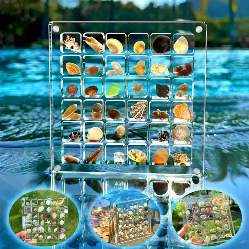 

Acrylic Magnetic Seashell Display Box Seashell Storage Box Clear Acrylic Diamond Gemstone Beads Storage Display Organizer Box