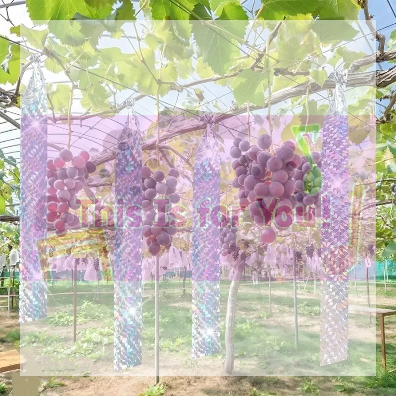 【MA】Double Side Laser Bird Scare Tape Keep Birds Away Bird Deterrent Tape For Garden Farm Orchard Or Courtyard