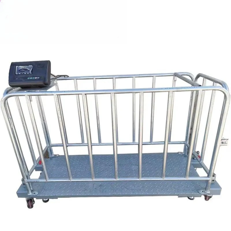 Digital Electronic Scale for Sheep and Goats Weighing