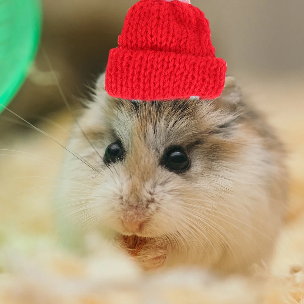 

4Pcs Small Animal Hats Christmas Theme Adjustable Knitting Cap Pet Costume Accessory Adorable Xmas Pet Hat Lovely Knitting Hats