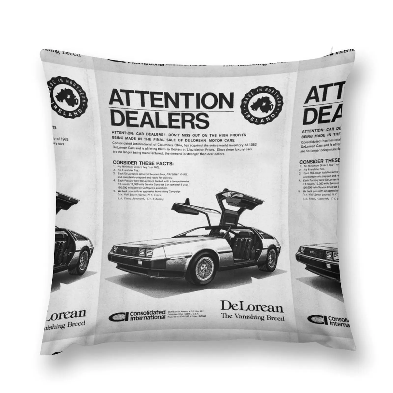 Attention Dealers! DeLoreans for sale Throw Pillow Cushions Cover Ornamental Pillow Decorative Sofa Cushion Throw Pillow