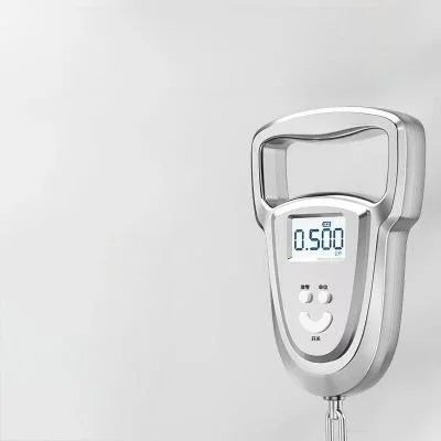 Mini Portable Electronic Scale 50kg Portable High Precision Household Express Small Scale Spring Small  555