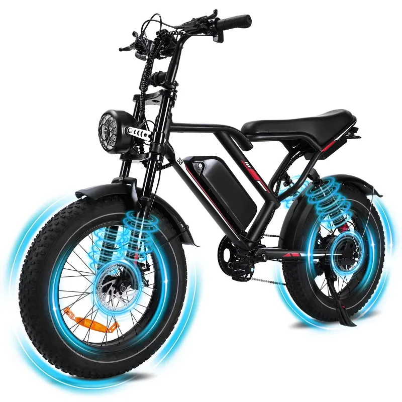 

Electric bicycle 48V 250W dual motor 7-speed gear 20-inch electric fat tire bicycle