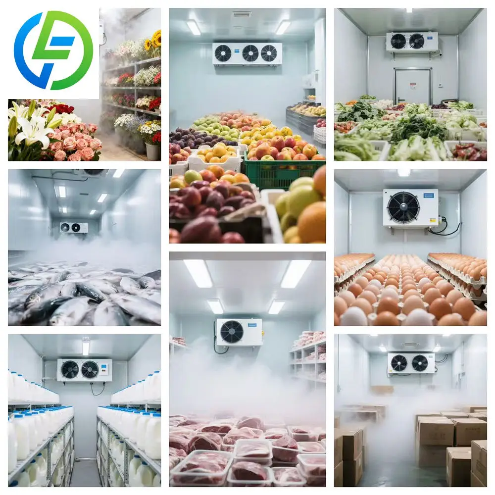 FOODLINE Overheat Alarm Solar Powered Freezer Container Auto Cut Off Circuit Protect Frozen Goods During High Temp