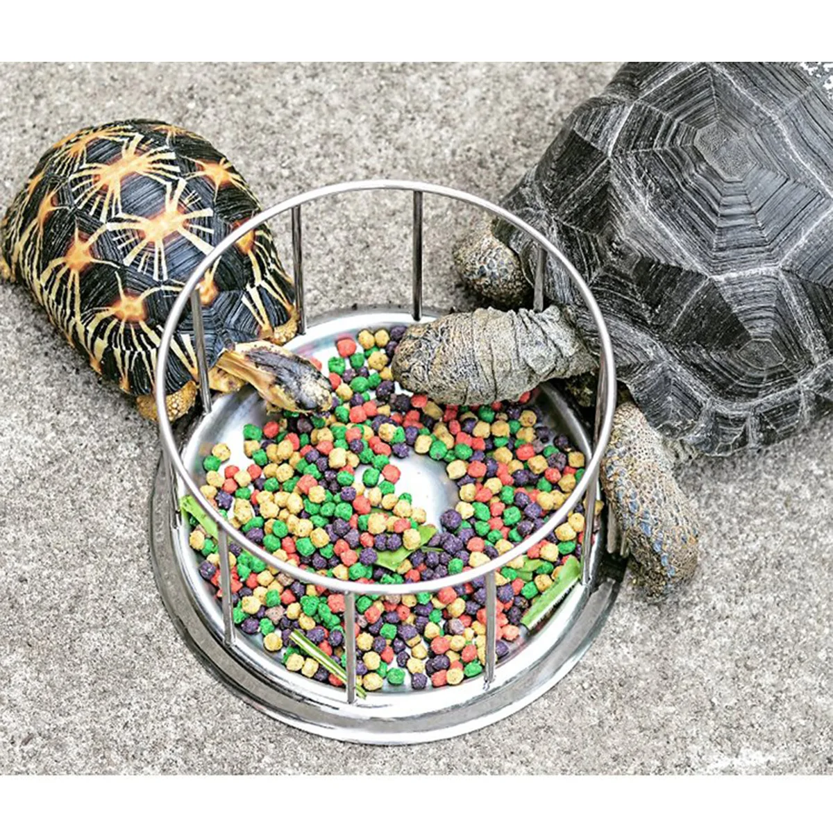 

Stainless Steel Pet Feeding Bowl Smooth Edge Eco-Friendly Turtle Food Dispenser For Reptile Tortoise Supplies Pet Accessories