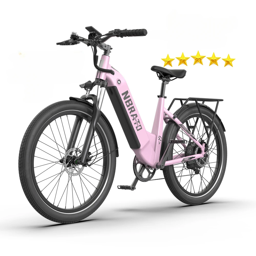 26 inch woman Retro Urban  750W  Fat tire 52V 15Ah step throught Electric Bicyclecustom