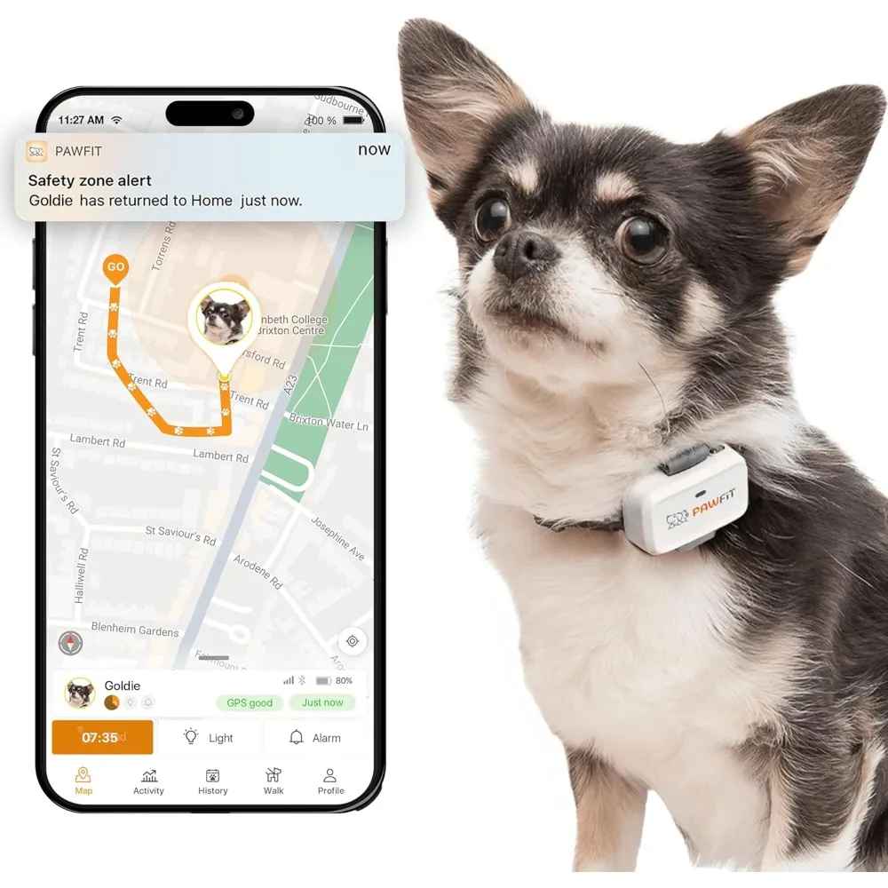 Lite for Small Dogs 4g GPS Tracker | Real Time Tracking | Activity Monitoring |Location History | Unlimited Range | Simply White