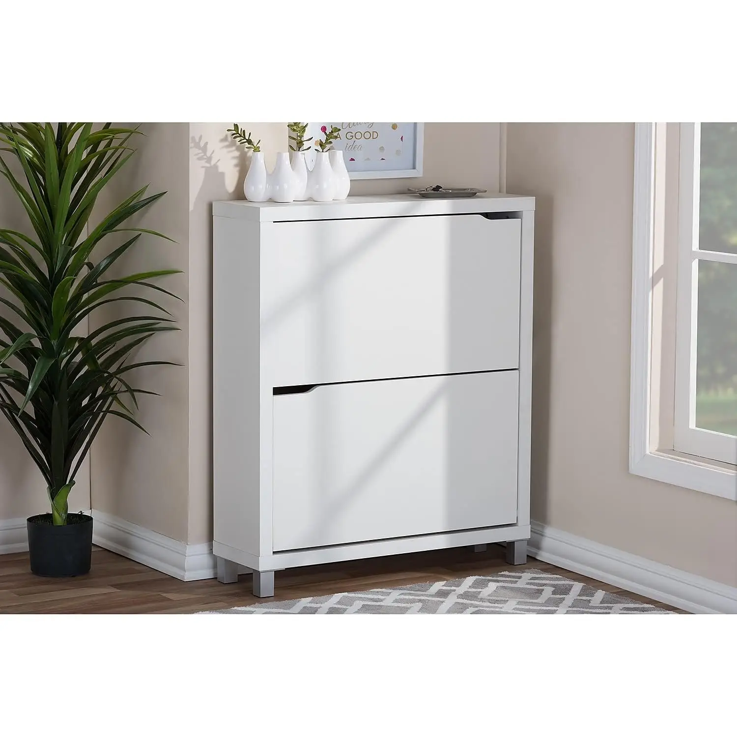 Modern 2 Shelf Shoe Cabinet, 37