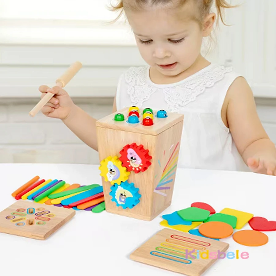 Jeu de correspondance de tri des couleurs en forme Montessori en bois pour tout-petits, jouet sensoriel de développement de moteur fin 5 en 1, cadeau de fête de noël