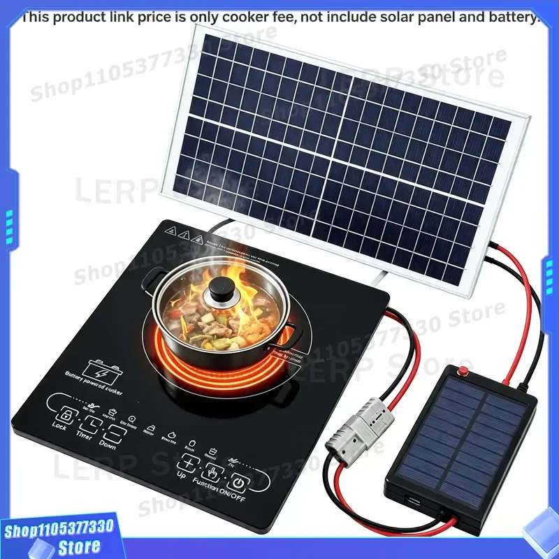 24V 48V Solar Induction Furnace Battery Powered New Design for Indoor Outdoor Use American Hotel Car RV Inspired Heating