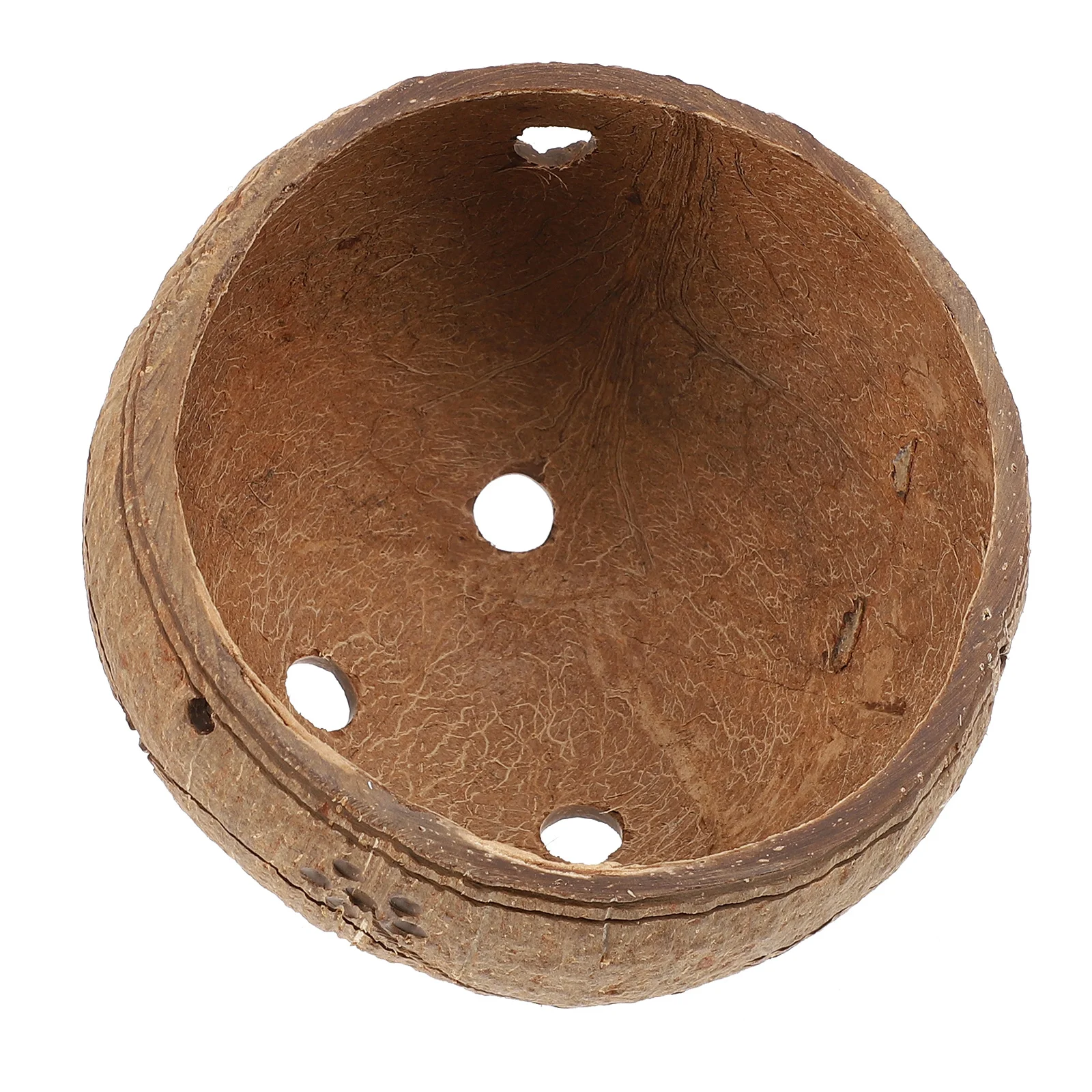 

Succulents Pot Coconut Shell Planter For Small Plants Indoor Outdoor Garden Decor Hanging Flowerpot Planter Pot Hanging Plant