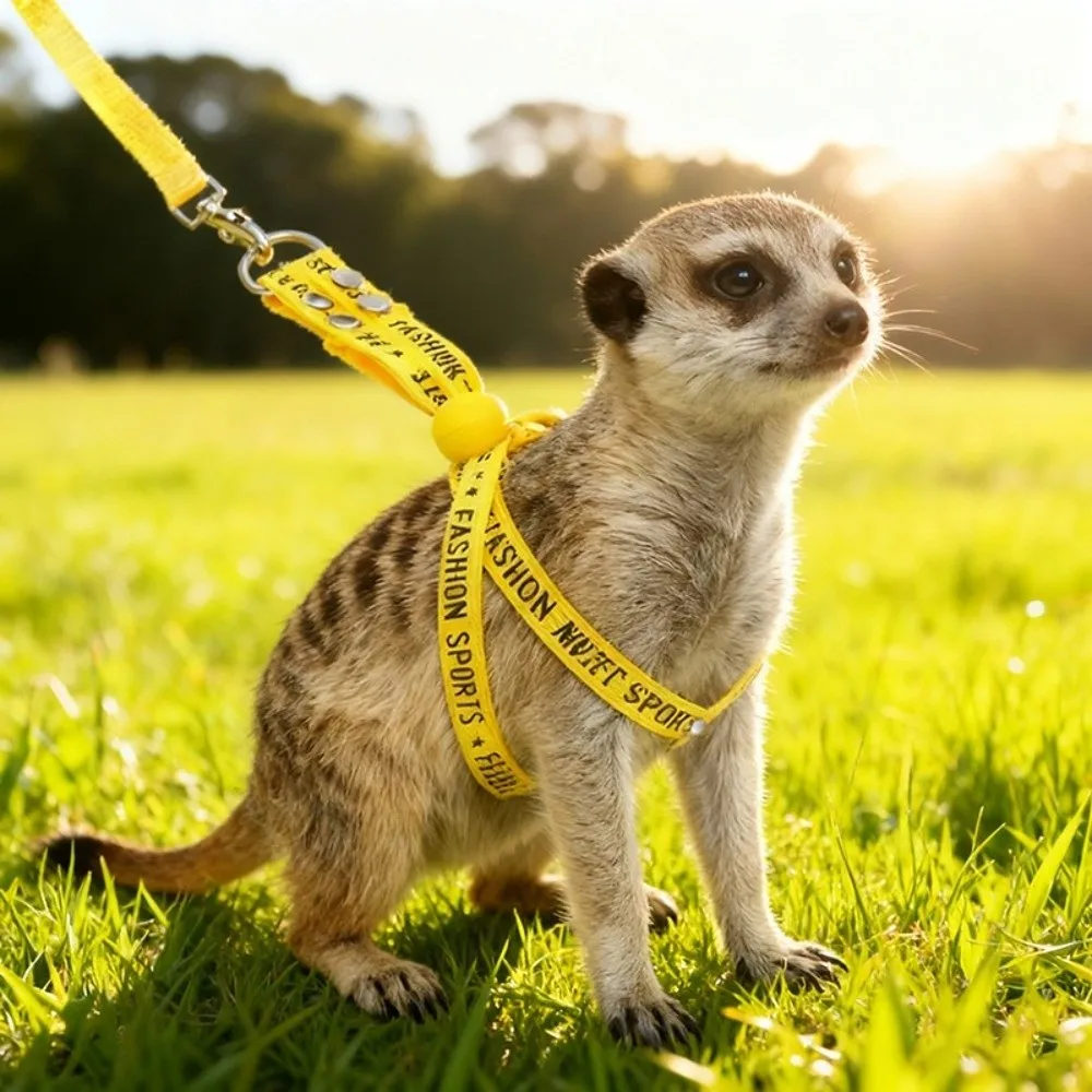 Portable Adjustable Rabbit Towing Rope Escape Proof Comfortable Ferret Harness Leash Soft Ferret Anti Loss Rope Travel - view 3