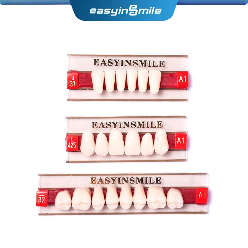Modelo de ensino dentário a1/a2/a3 de tamanho padrão máximo, modelo superior e inferior para substituição, diy, dia das bruxas