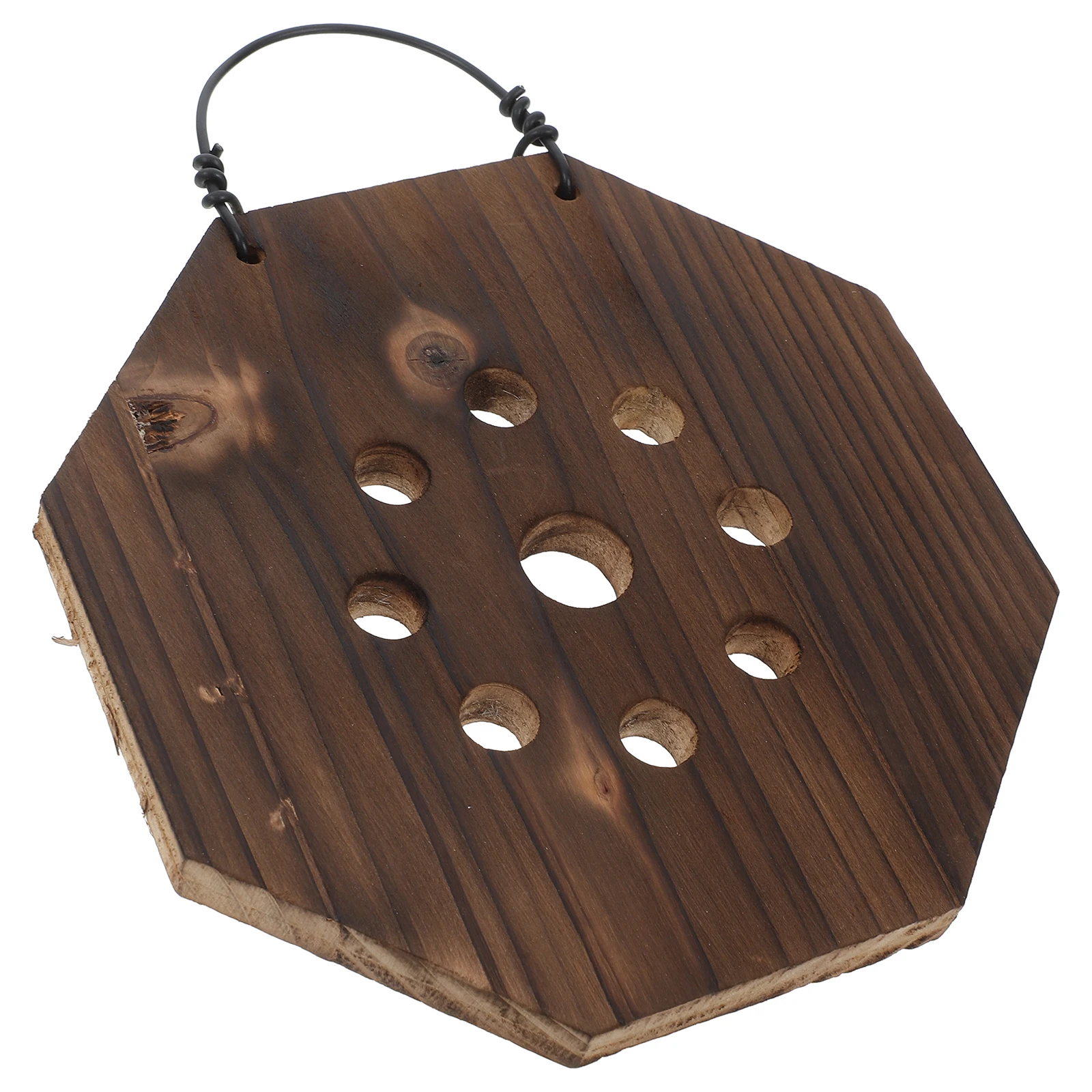 

Staghorn Fern Hanging Board Dark Brown Rustic Planters Lightweight Carbonized Wood Spacesaving Design Easy Installation Vertical