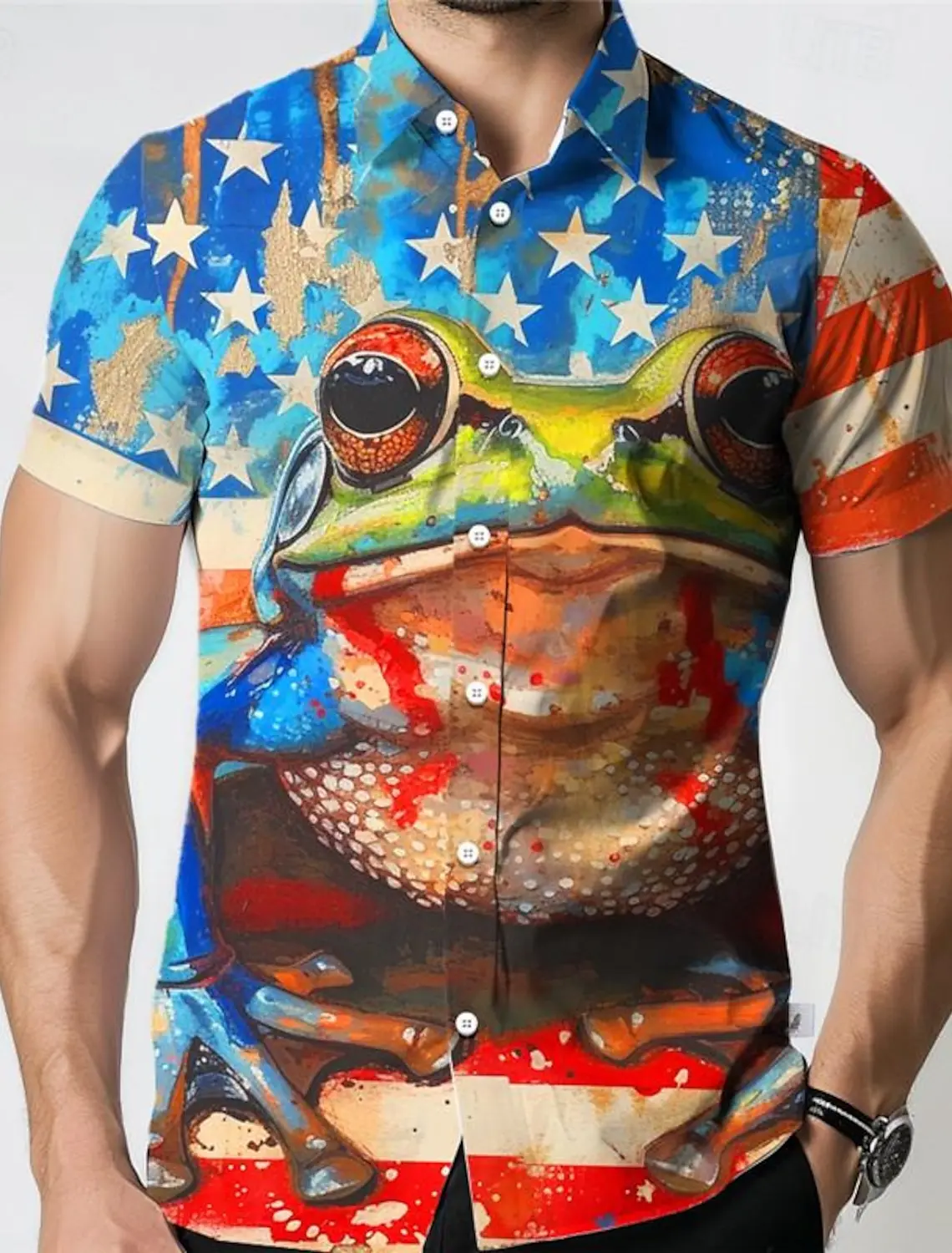 

Frog National Flag Tropical Men's Resort Hawaiian 3D Printed Shirt Button Up Short Sleeve Summer Beach Shirt Vacation Daily Wear