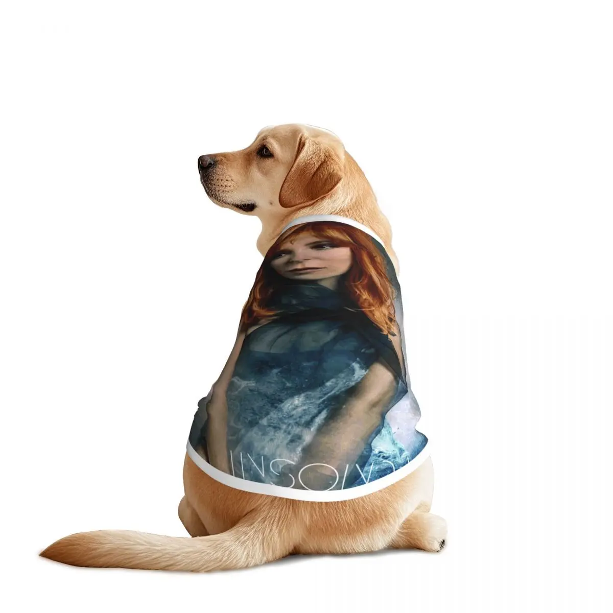 mylene-agricultor-pet-colete-jaqueta-respiravel-cantor-frances-grande-roupas-para-caes-decoracao-para-suprimentos-para-animais-de-estimacao