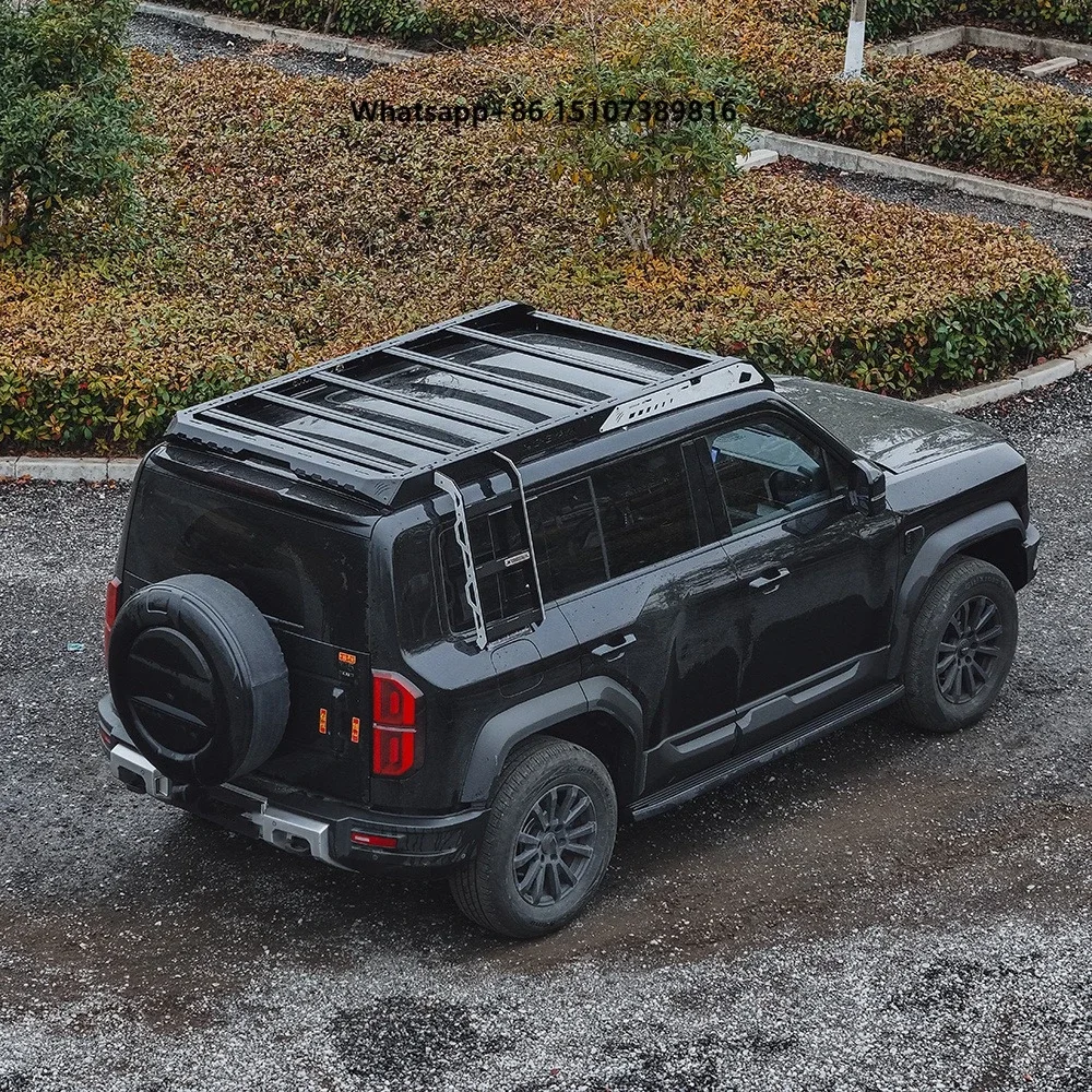 Mech  Rack Platform for DENZA-B5 Auto Accessory Long Short Roof Platform