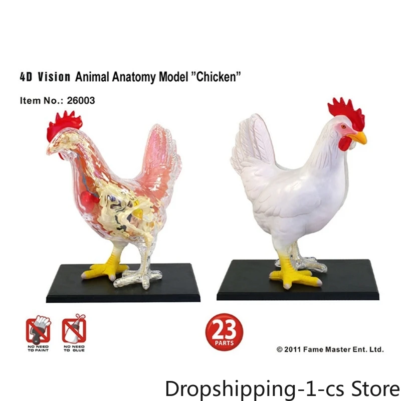 Red And White Chicken 4D Master Puzzle Assembling Toy Animal Biology Organ Anatomical Teaching Model Anatomy