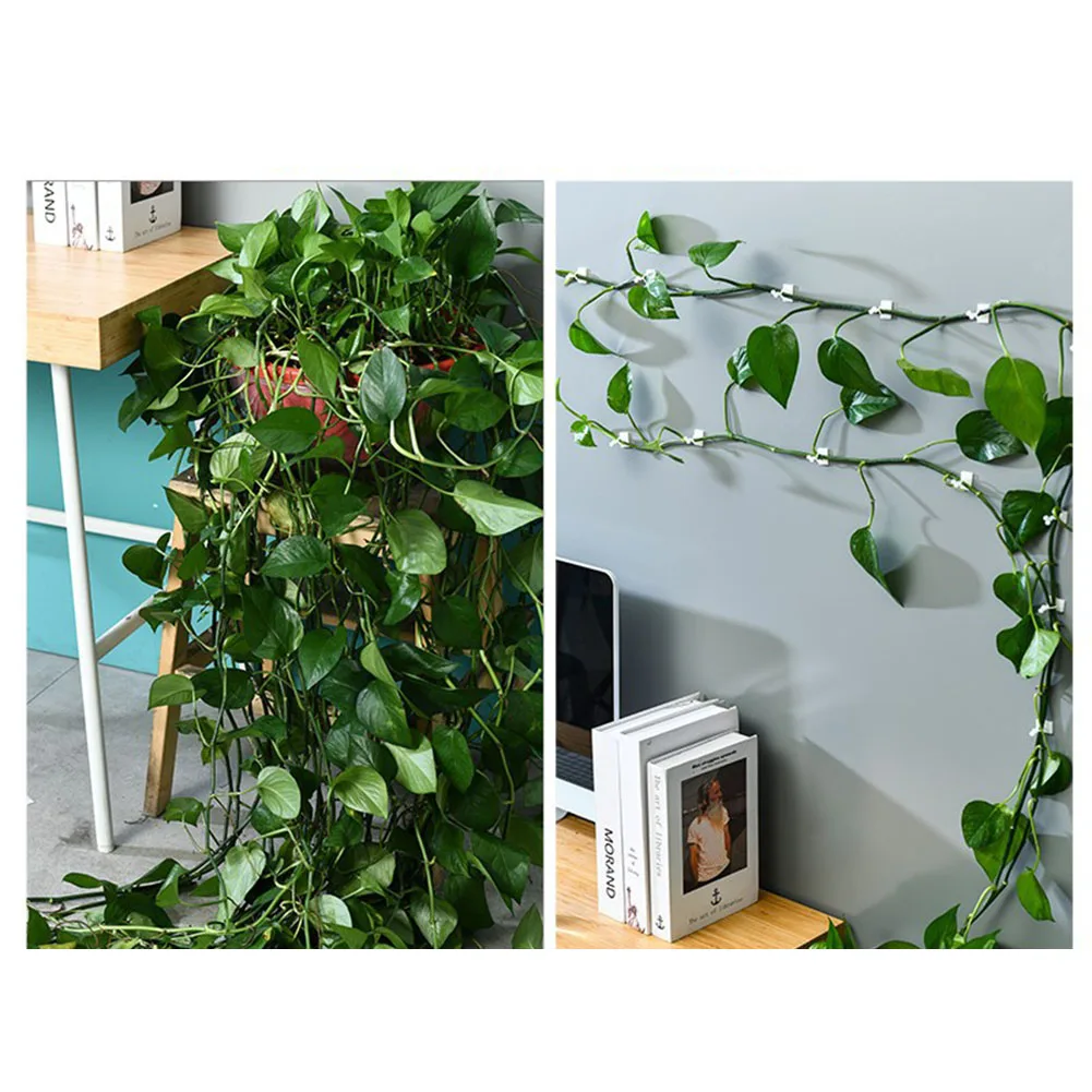 High Quality Plant Clips Pothos Clip Plant Holder Wall Mount 60 Pieces For Climbing Plants For Tiles/marble/glass