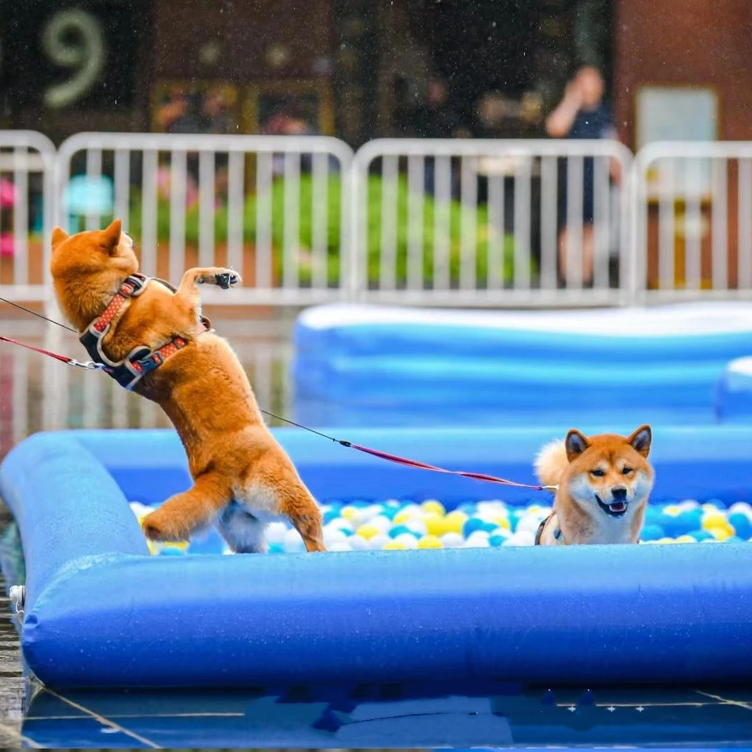 Customized High Quality Dog Pool Inflatable Swimming Pool For Dogs