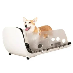 Treadmill For Dog Water For Sale Pet Cheap Treadmills