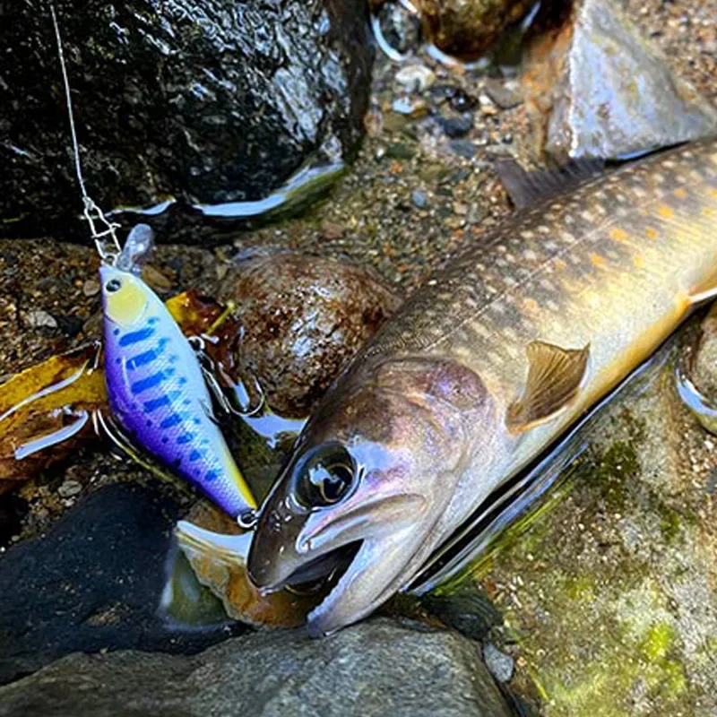 Señuelo pesca wobbler 55mm – Artificial dura para trucha y lubina - imagen 2