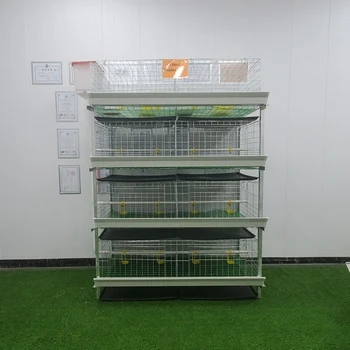 Design Commercial Broiler Chicken Cages Meat Automatic Poultry Feeding Farm Equipment H Type Broiler 4Tier