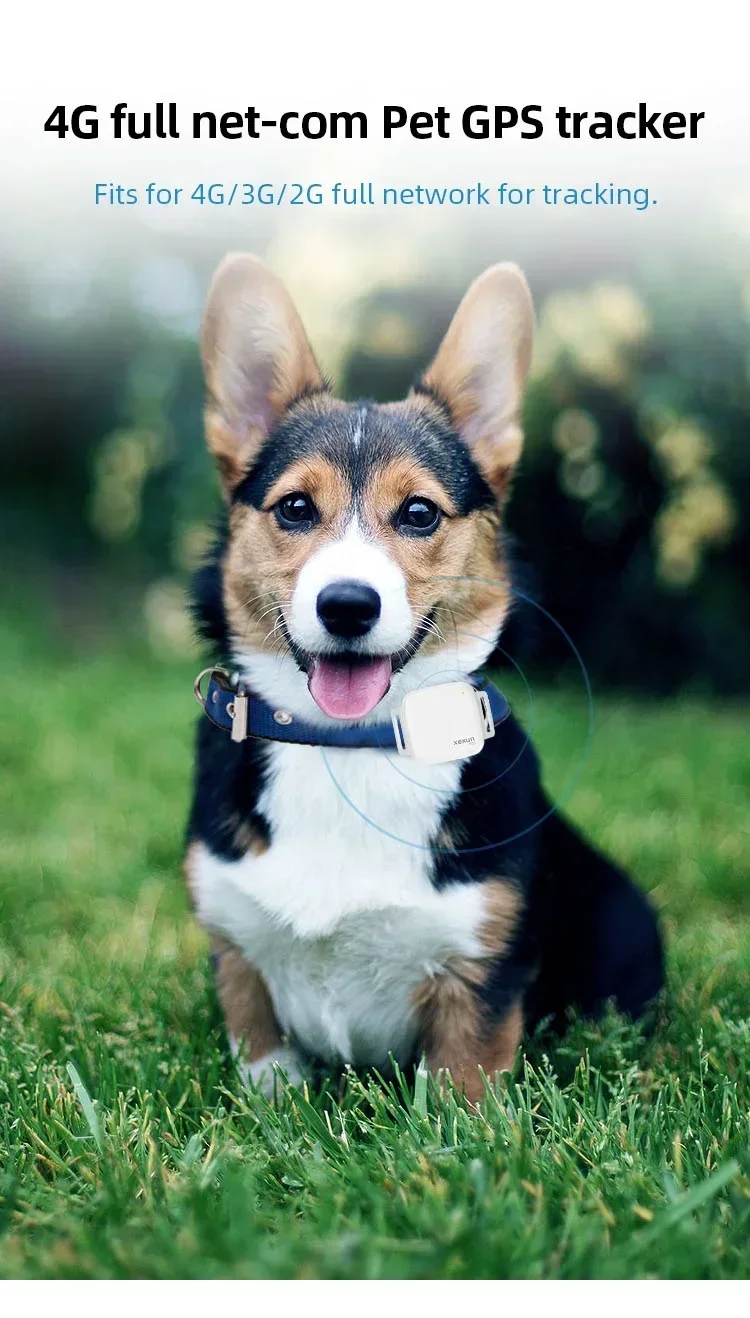 

New New MINI GPS Tracking Device Dog Cat Activity Tracking Pet APP With WEB Monitoring Service
